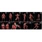 Avengers Infinity Saga - 1/12 Scale - DLX Action Figure - Iron Man Mark 43 16 cm